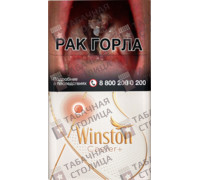 Winston Xstyle Caster+