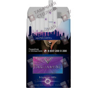 Parliament Voyage Mix