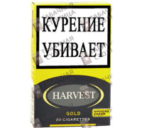 Harvest Gold