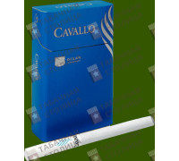 Cavallo Ocean