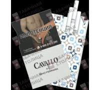 Cavallo by Gino Ferrara