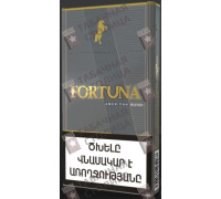 Fortuna SS Gray