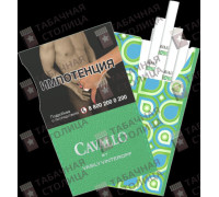 Cavallo by Vasily Vinteroff